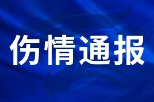 火爆上海海港富盛经开vs山西崇德荣海比赛回放_火爆上海海港富盛经开vs山西崇德荣海比赛回放高清直播_火爆上海海港富盛经开vs山西崇德荣海比赛回放在线观看无插件