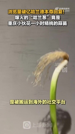 世界杯法国vs摩洛哥_世界杯法国vs摩洛哥实时直播_世界杯法国vs摩洛哥高清流畅观看